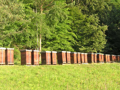 wanderung_voelker.jpg
