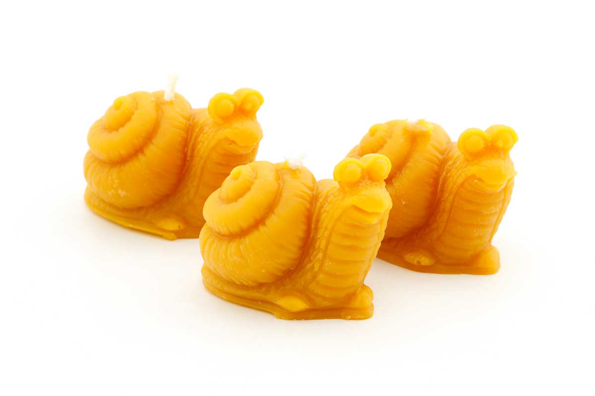 Bienenwachskerze Schnecke